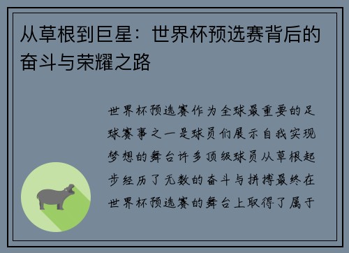 从草根到巨星：世界杯预选赛背后的奋斗与荣耀之路
